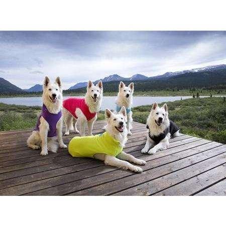 RC Baseline Dog Coat Black & Lime Fleece - 12 inches - Coats - RC Pet Products - PetMax Canada
