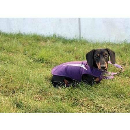 RC Cascade Dog Coat Plum Purple * Discontinued Colour - 8 inches - Coats - RC Pet Products - PetMax Canada