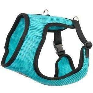 RC Cirque Soft Walking Harness Teal - XX-Small - Harnesses - RC Pet Products - PetMax Canada