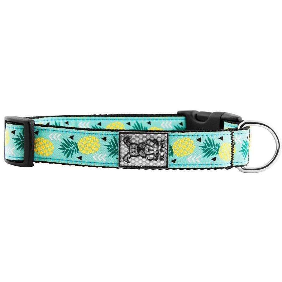 RC Dog Collar Pineapple Parade - XS: 5/8 x 7-9 inches - Dog Collars - RC Pet Products - PetMax Canada