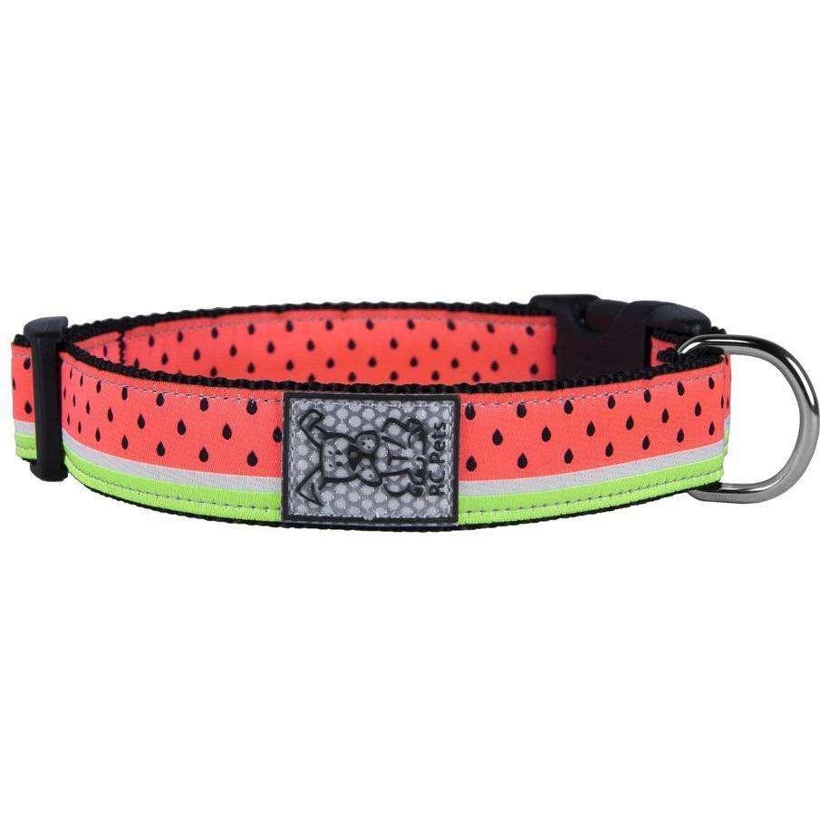 RC Dog Collar Watermelon - XS: 5/8 x 7-9 inches - Dog Collars - RC Pet Products - PetMax Canada