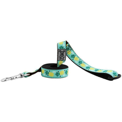 RC Dog Leash Pineapple Parade - 3/4 in x 6 ft - Leashes - RC Pet Products - PetMax Canada