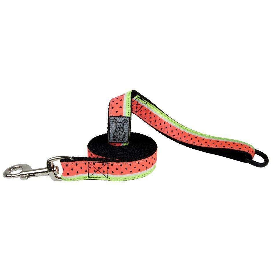 RC Dog Leash Watermelon - 3/4 in x 6 ft - Leashes - RC Pet Products - PetMax Canada