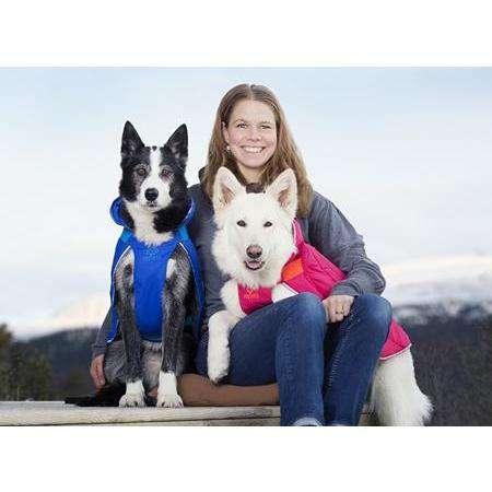 RC Dog Nimbus Puffer Royal Blue & Blue - 10 inches - Puffer Jackets - RC Pet Products - PetMax Canada