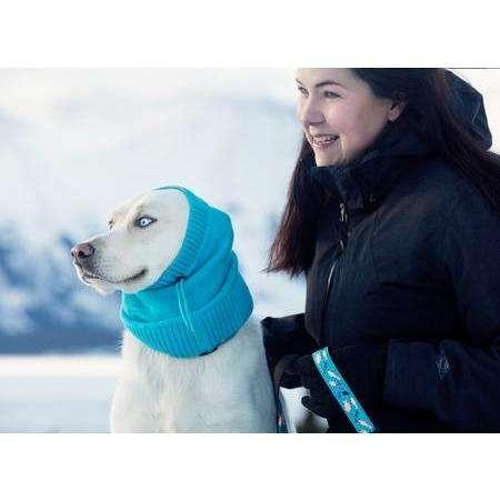 RC Dog Polaris Snood Black - Small - Snoods - RC Pet Products - PetMax Canada