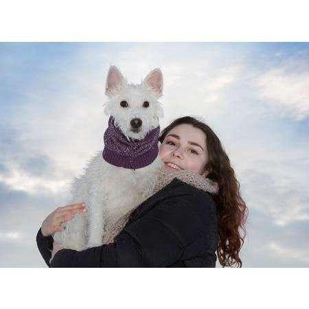 RC Dog Polaris Snood Plum Purple - Small - Snoods - RC Pet Products - PetMax Canada