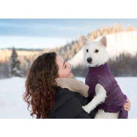 RC Dog Polaris Sweater Plum Purple - XX-Small - Sweaters - RC Pet Products - PetMax Canada