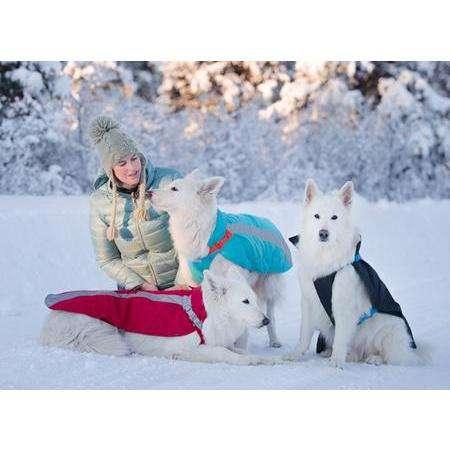 RC Dog Vortex Parka Black & Blue - 10 inches - Parkas - RC Pet Products - PetMax Canada