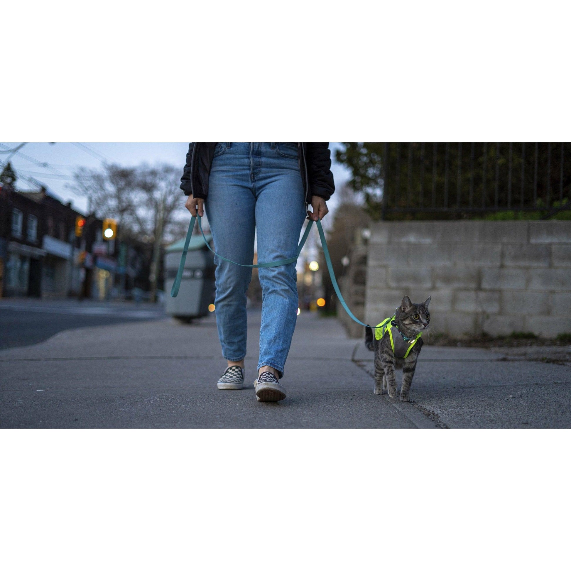 RC Pets Luna High Visibility Reflective Vest - Medium - Outdoor Gear - RC Pet Products - PetMax Canada