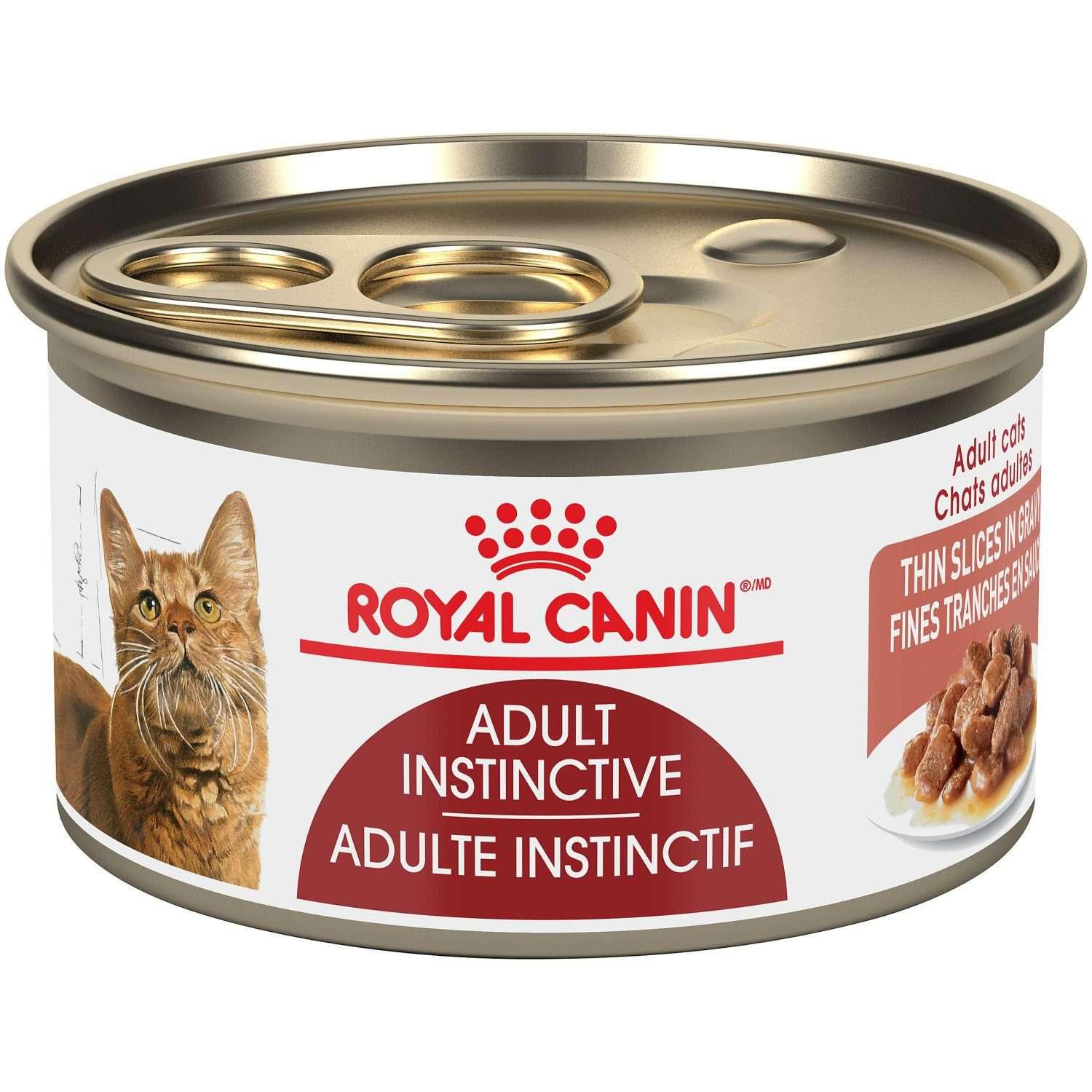 Best cheap canned cat food best sale