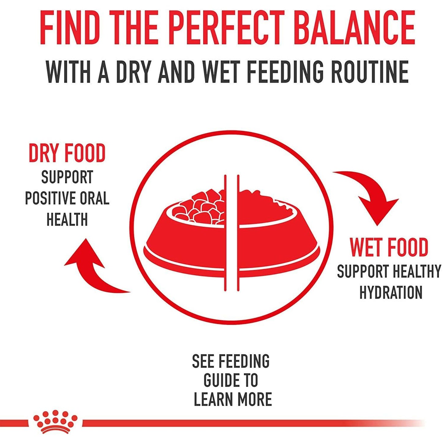 Royal Canin Canned Cat Food Adult Instinctive Thin Slices In Gravy - 85g - Canned Cat Food - Royal Canin - PetMax Canada