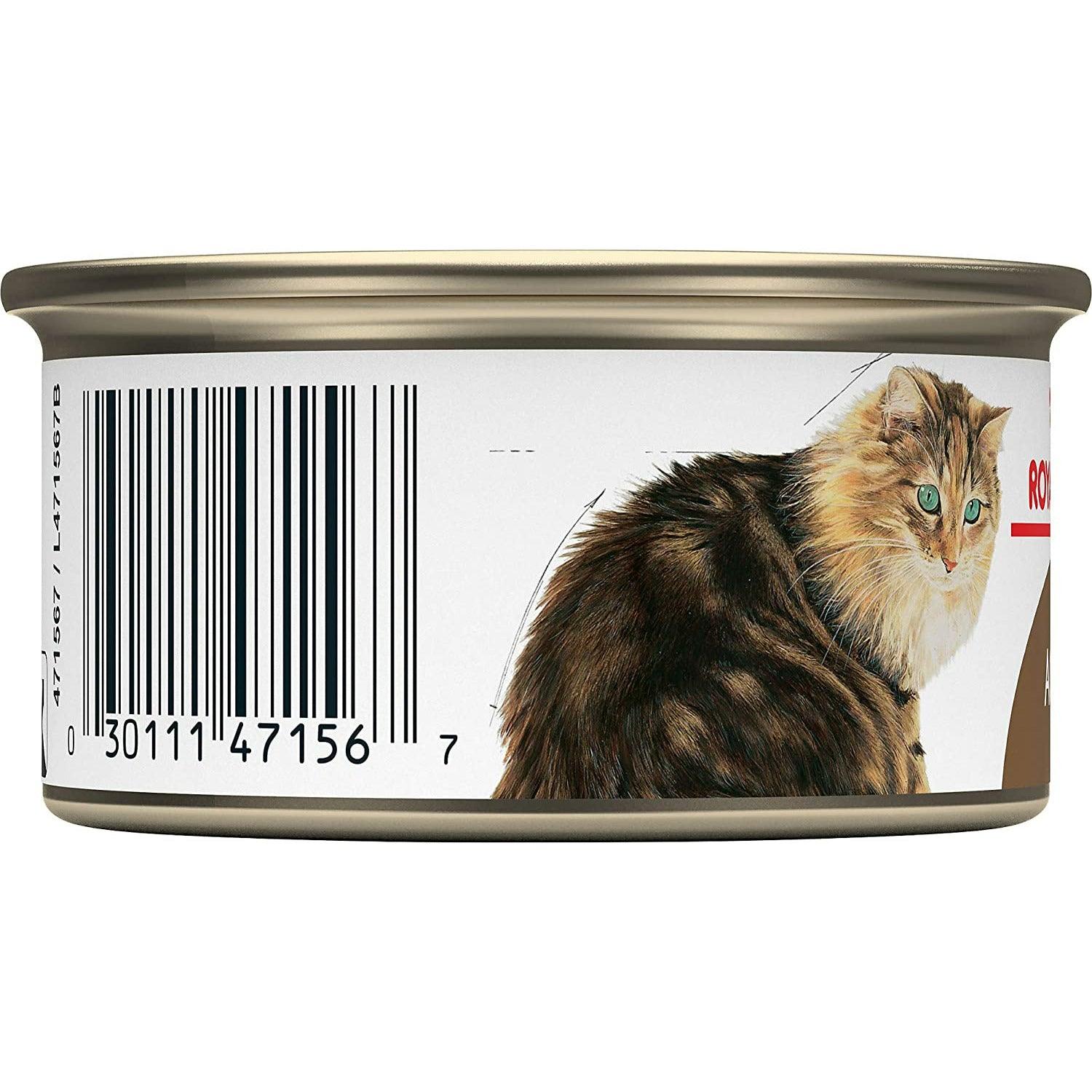 Royal Canin Canned Cat Food Aging 12+ Thin Slices In Gravy - 85g - Canned Cat Food - Royal Canin - PetMax Canada