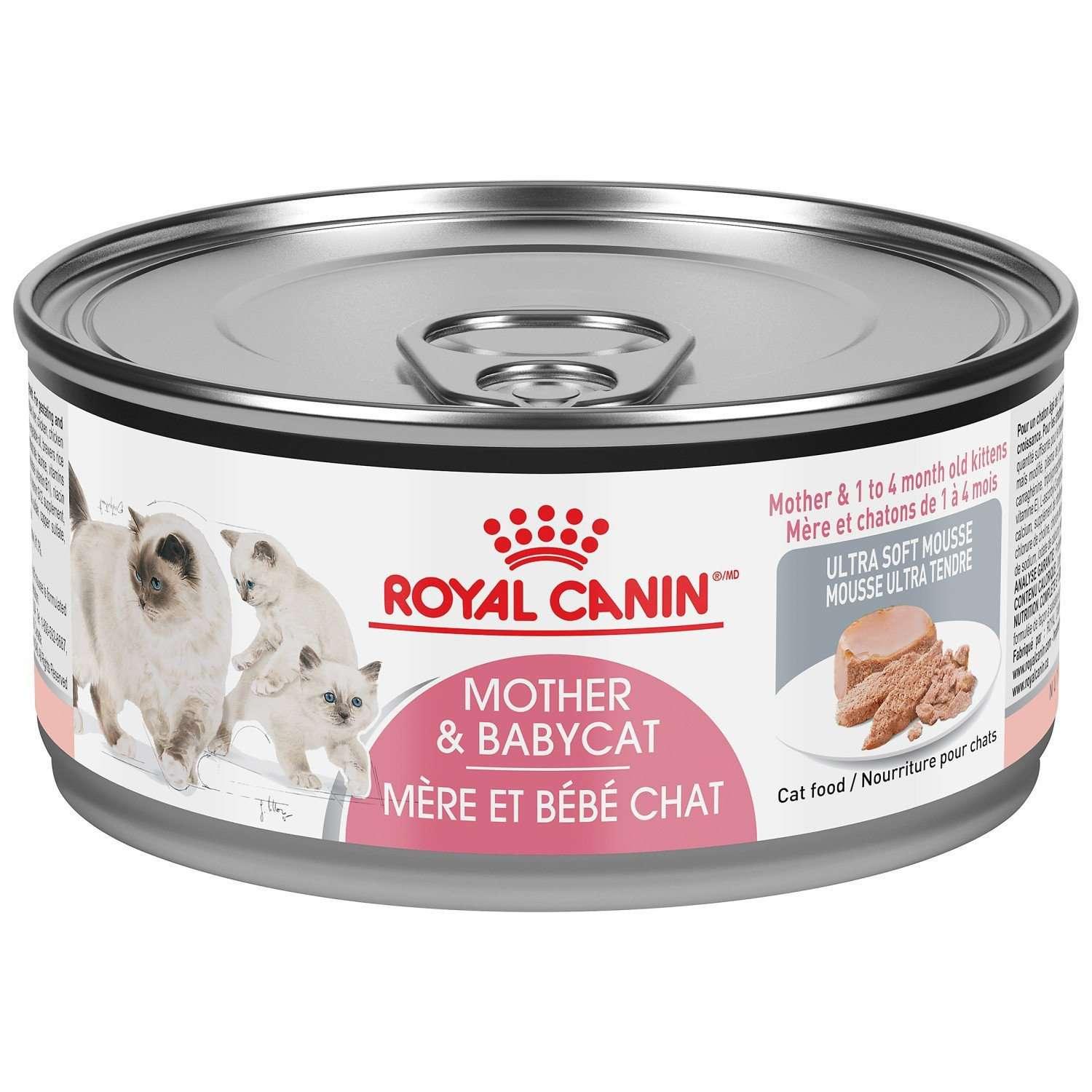 Kitten mousse royal canin hotsell