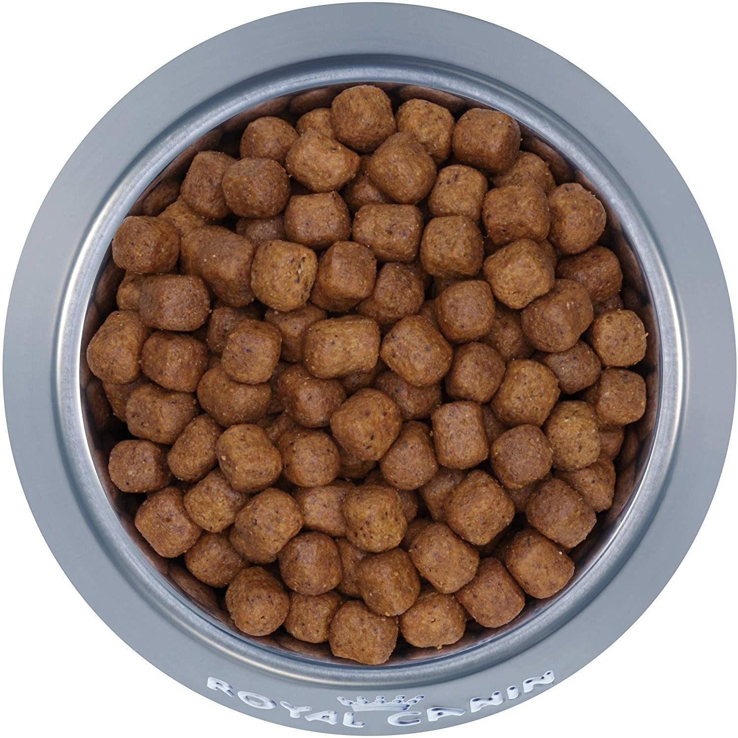 Buy Royal Canin Maine Coon Cat Food Online In Canada PetMax