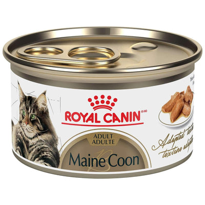 Royal Canin Maine Coon Canned Cat Food - 85g - Canned Cat Food - Royal Canin - PetMax Canada