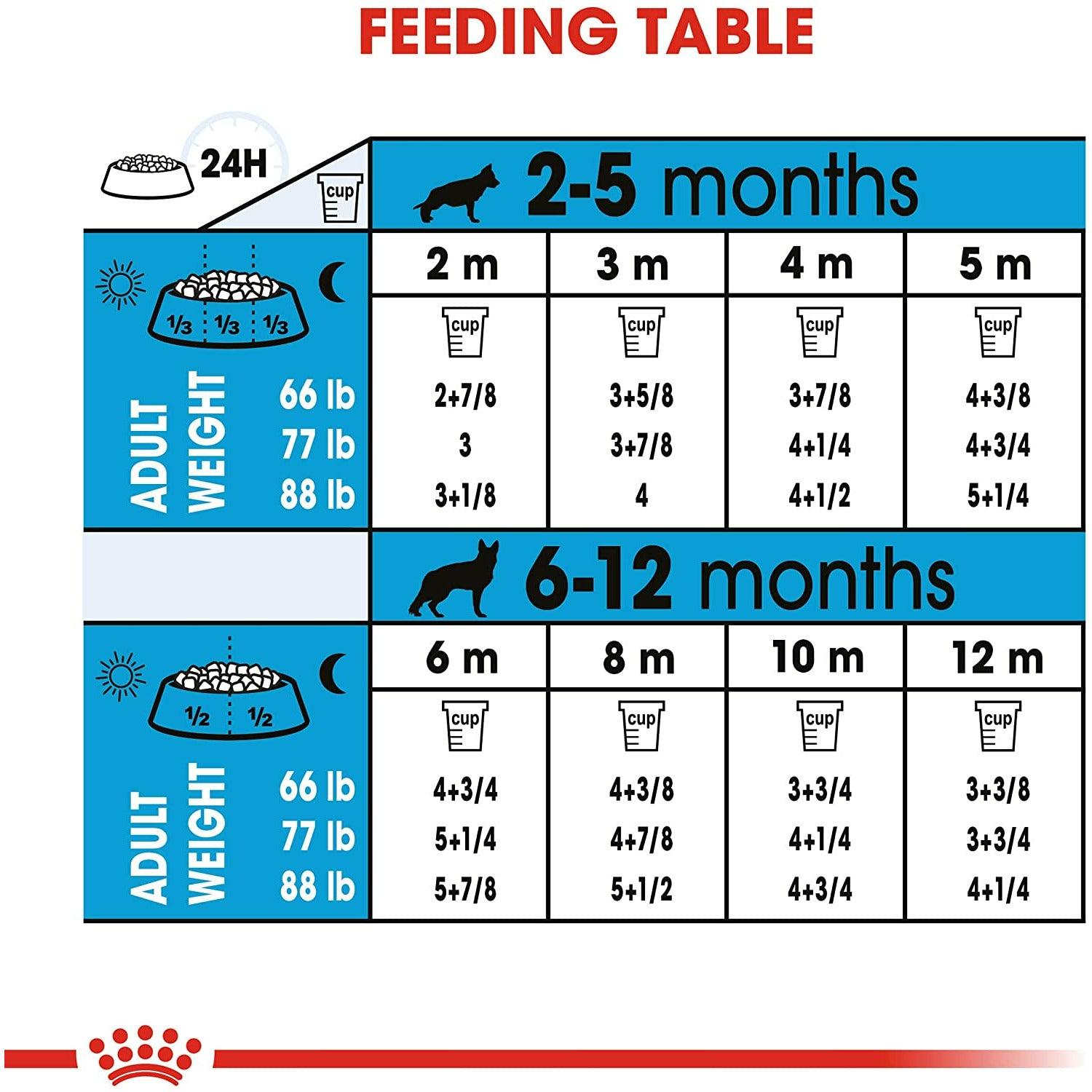 Large breed feeding chart best sale