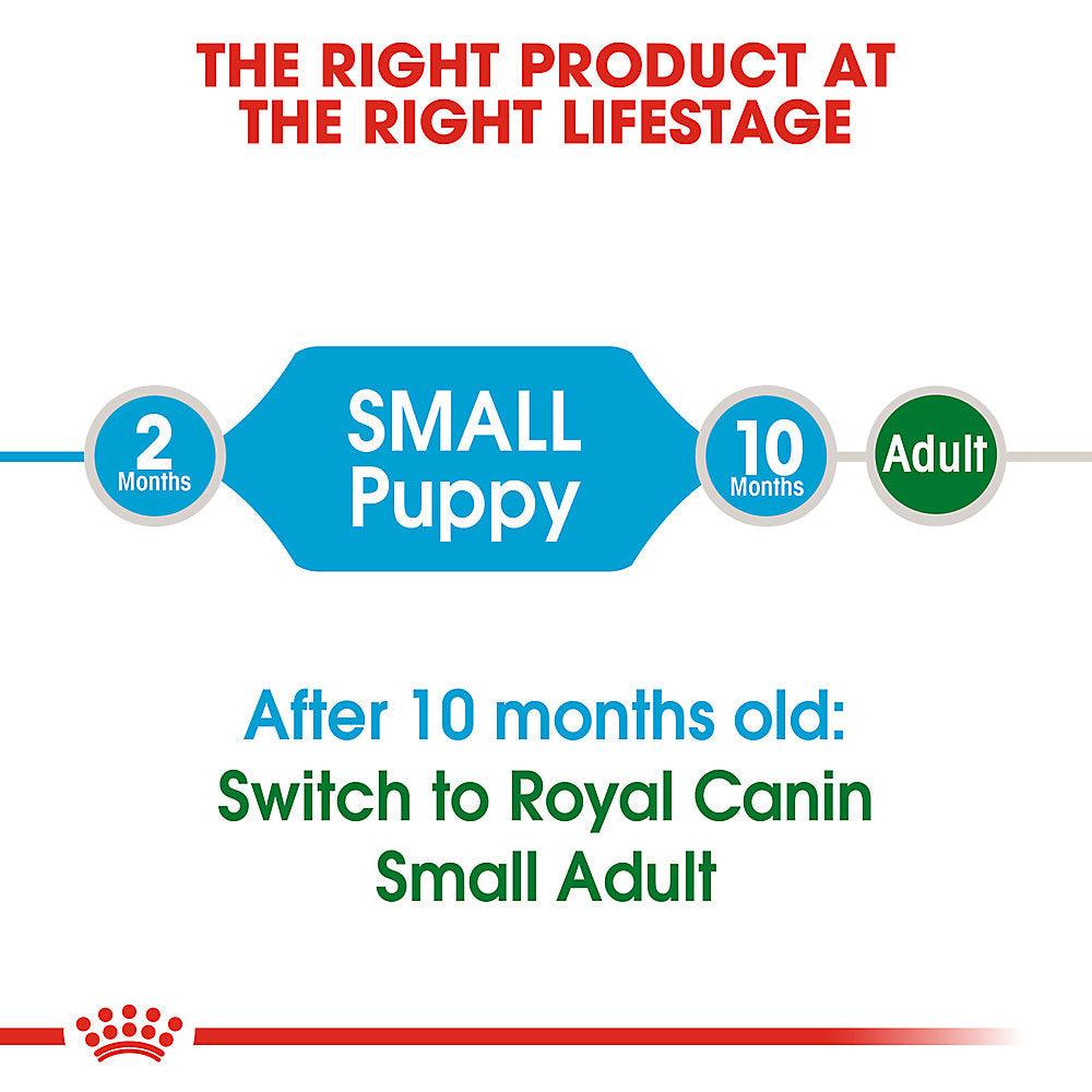 Royal Canin Dog Food Small Puppy - 1.1 Kg - Dog Food - Royal Canin - PetMax Canada