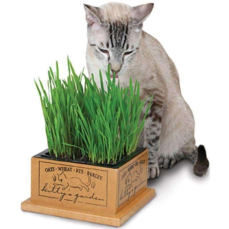 Smart Cat Kittys Garden - Default Title - Cat Treats - Smart Cat - PetMax Canada