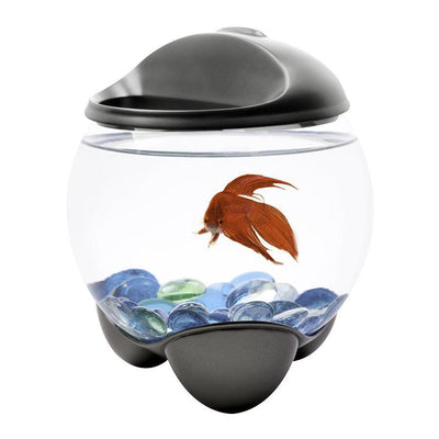 Tetra Betta Bubble Bowl Aquarium Kit 0.5 Gallons - 0.5 Gallons - Aquarium - Tetra - PetMax Canada