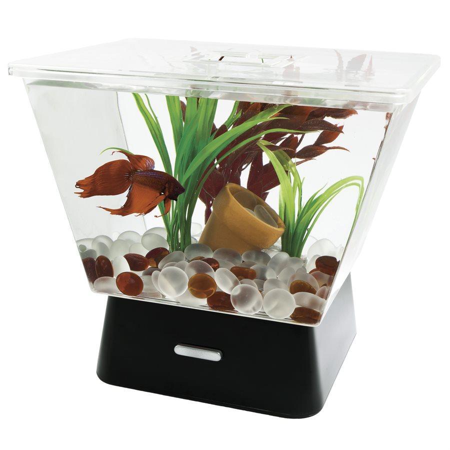 Tetra Betta LED Tank Aquarium Kit 1 Gallon - 1 Gallon - Aquarium - Tetra - PetMax Canada