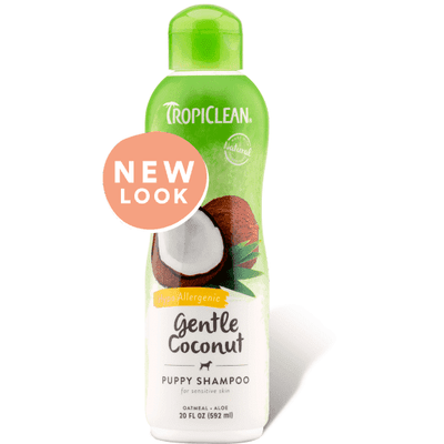 Tropiclean Gentle Coconut Shampoo - 592 mL - Grooming - Tropiclean - PetMax Canada