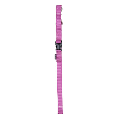 Zeus Nylon Dog Leash Fuchsia - Sm: 3/8 in x 4 ft - Leashes - Zeus - PetMax Canada