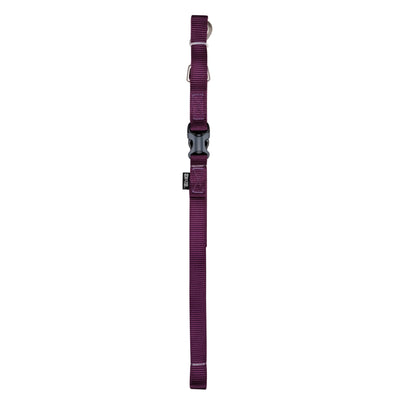 Zeus Nylon Dog Leash Royal Purple - Sm: 3/8 in x 4 ft - Leashes - Zeus - PetMax Canada